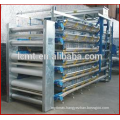 Automatic poultry equipment for layer quail raising